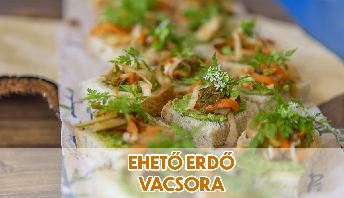 DumaSasvár – Ehető erdő vacsora